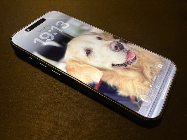 Bester Schutz den ich hatte